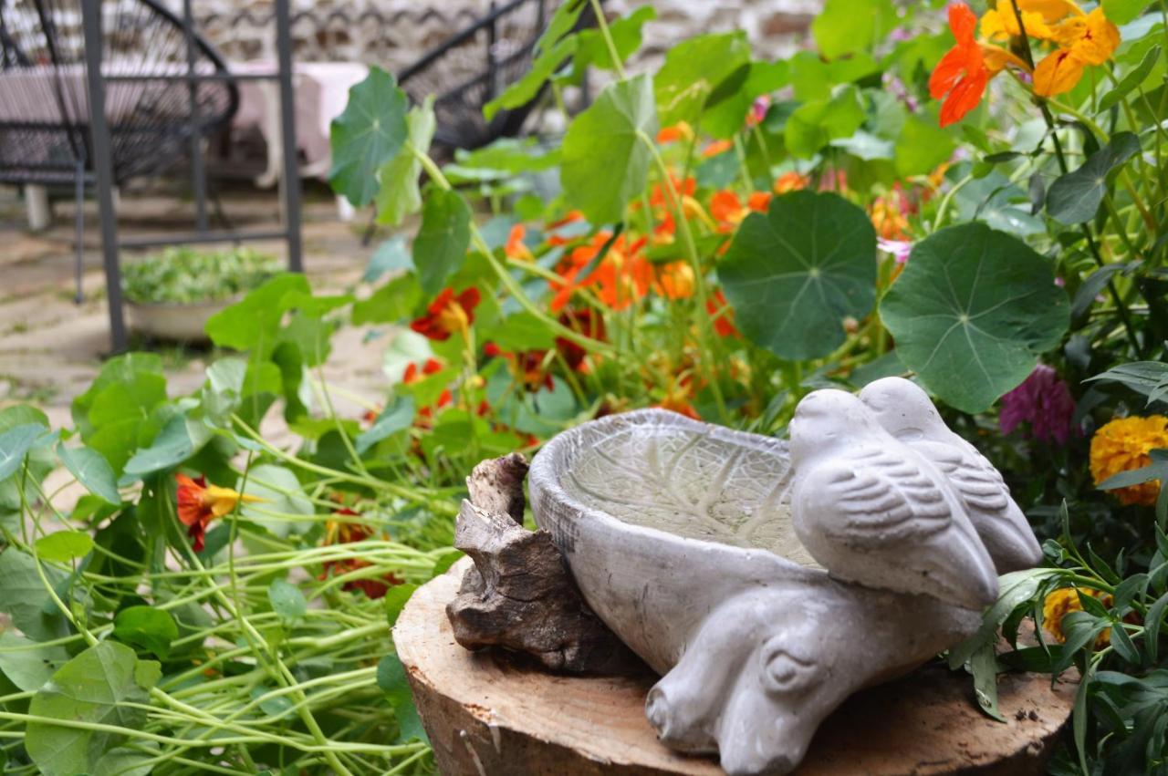 Eskiz - Our Stone Home Chepelare Bagian luar foto